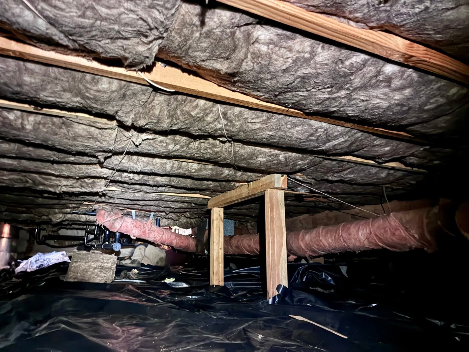insulation removal Wenatchee